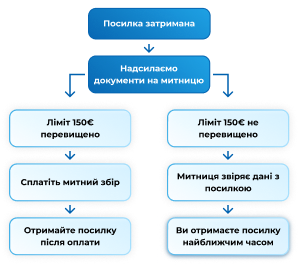 Якщо митниця зупинила